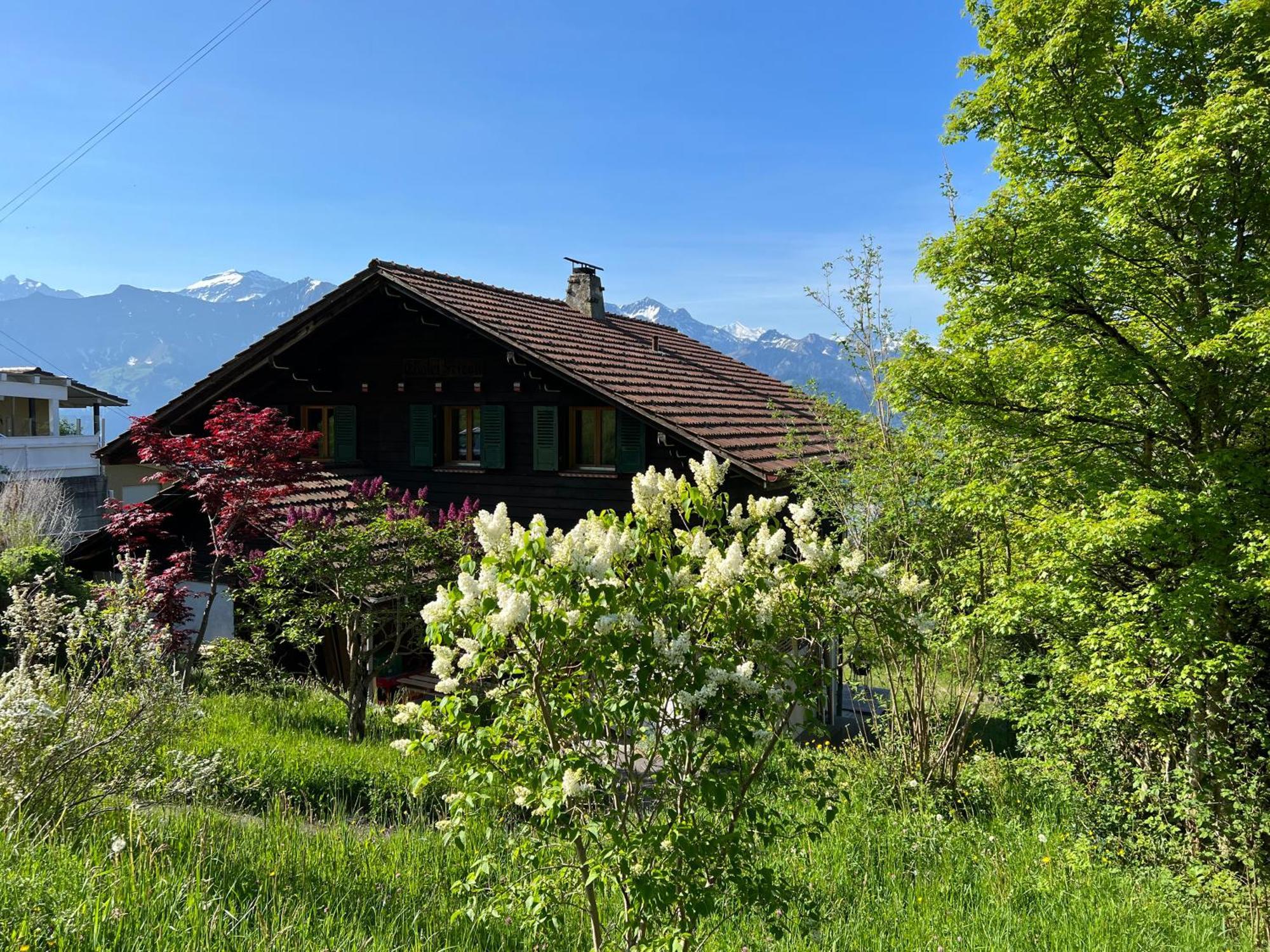 Chalet Friesli Beatenberg Exterior foto